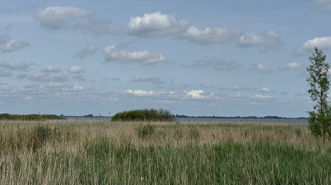 Der Dmmersee