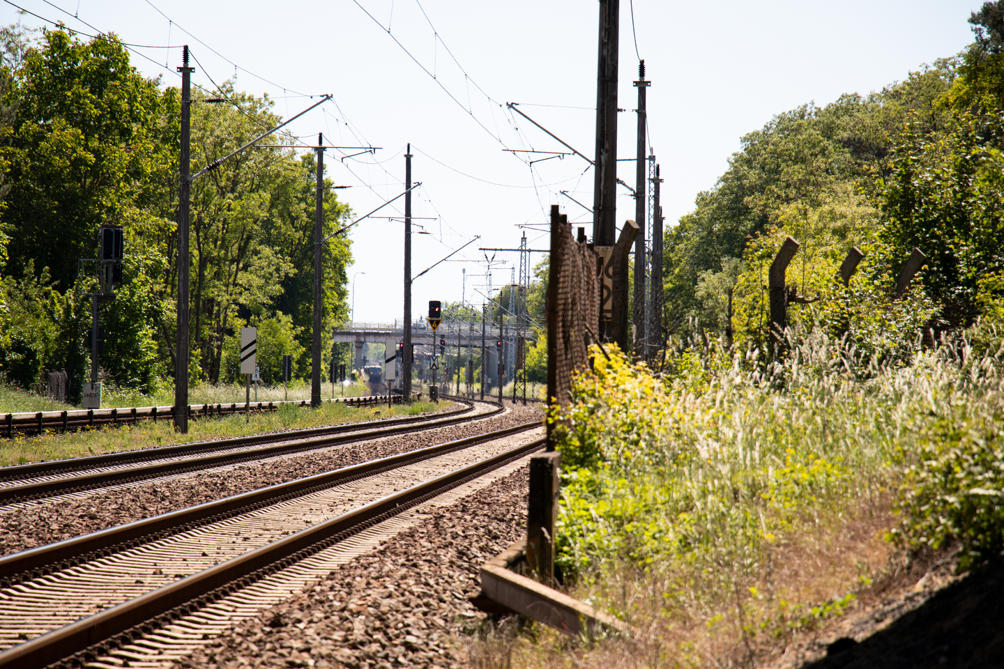 Foto: Christiane Lang